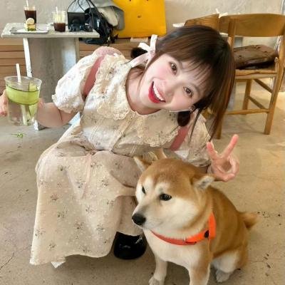 恋爱辩法